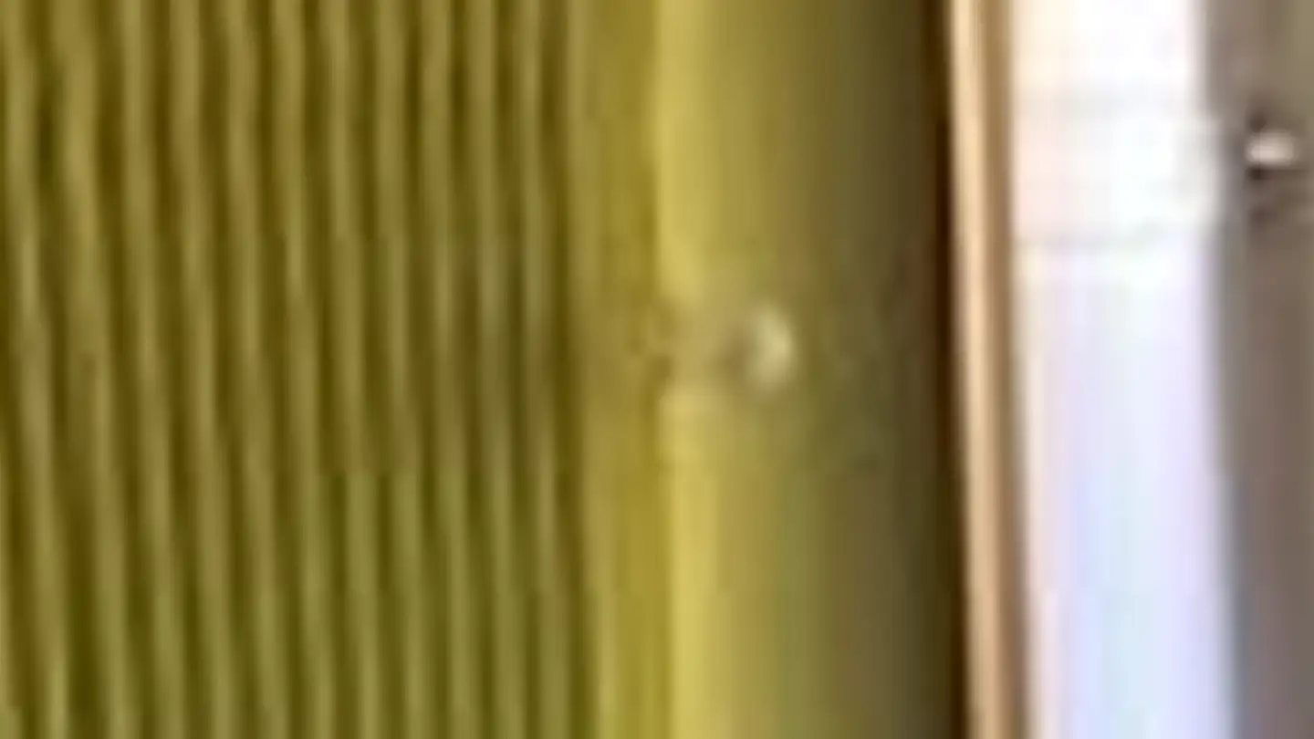 Appartement à louer - Tösstalstrasse 200, 8636 Wald ZH - Photo 4