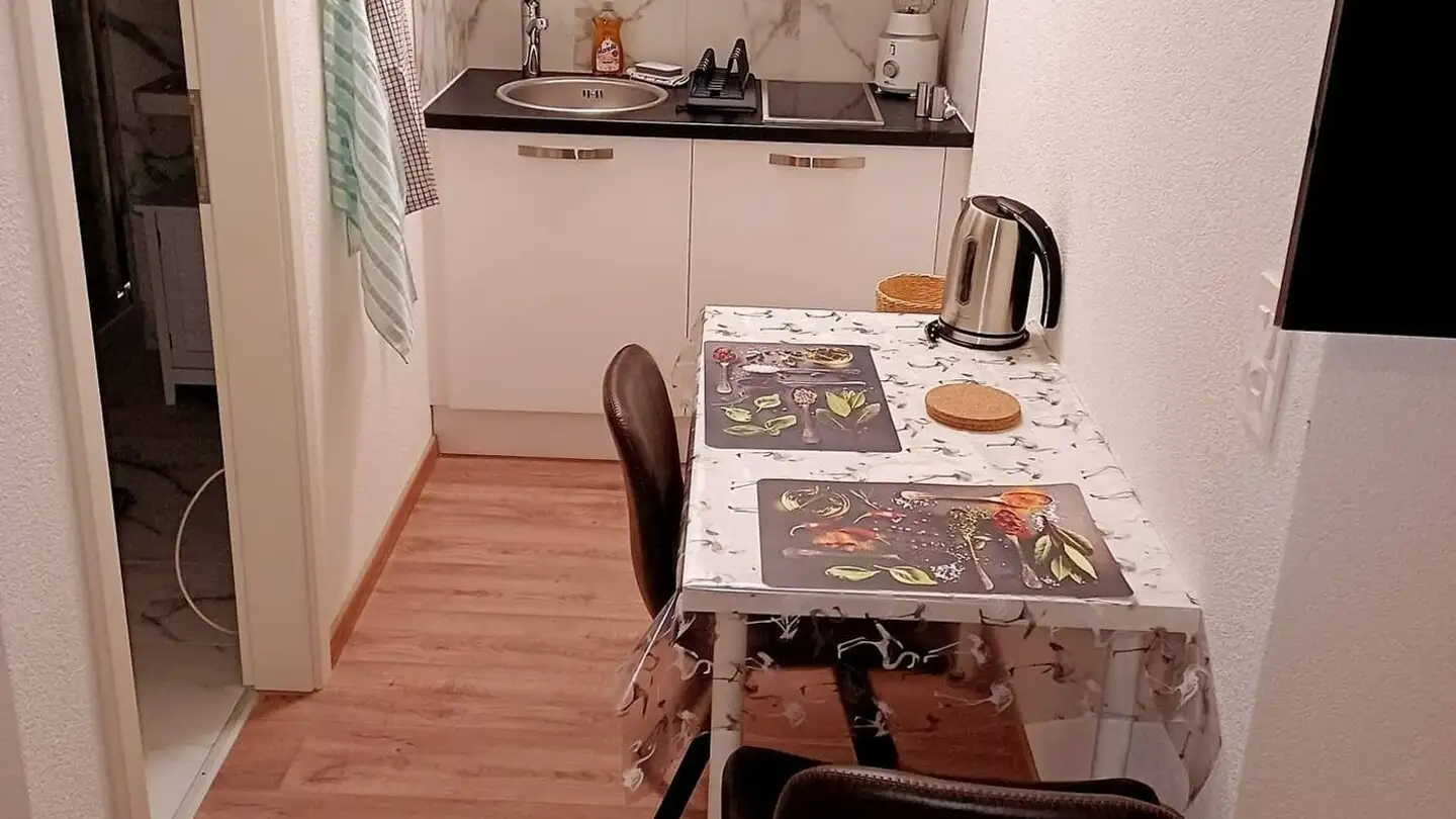 Furnished apartment for rent - Steinstrasse 35, 8003 Zürich - Photo 4