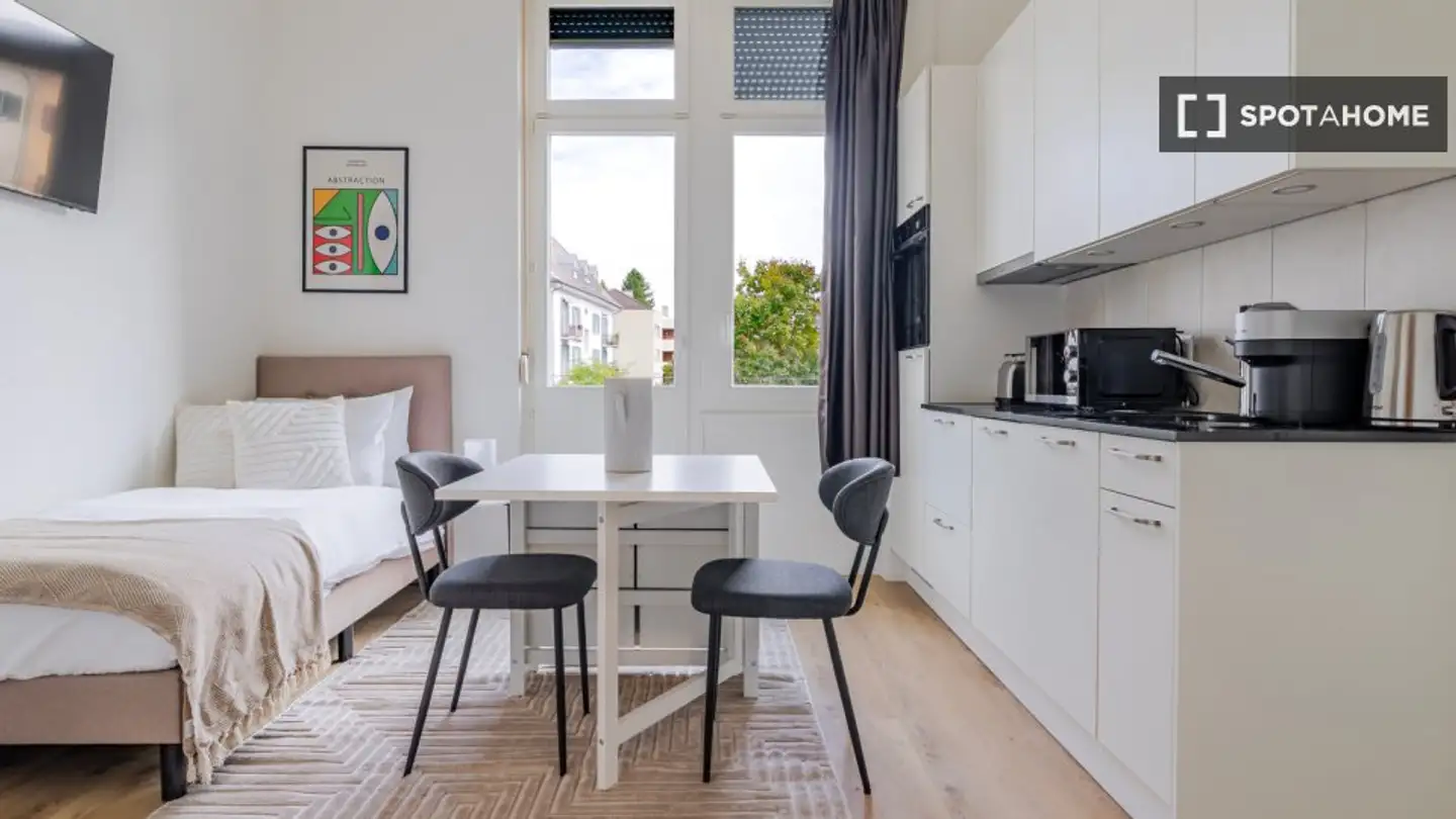 Studio in affitto - 8052 Zürich