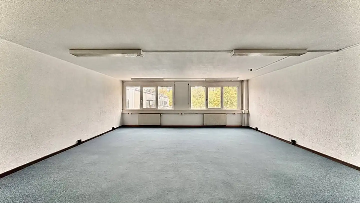 Commercial for rent - 1010 Lausanne - Photo 3