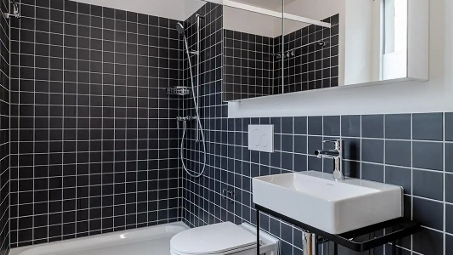 Wohnung mieten - Bergstrasse 5, 6004 Luzern - Foto 4