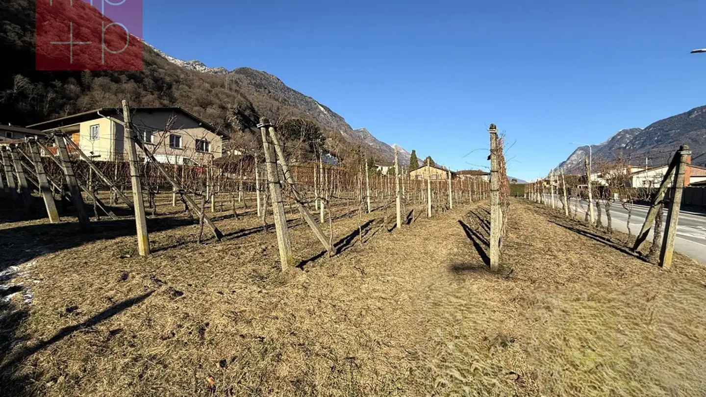 Terrain constructible à vendre - 6525 Gnosca