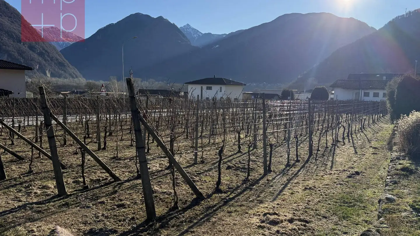 Terrain constructible à vendre - 6525 Gnosca - Photo 3