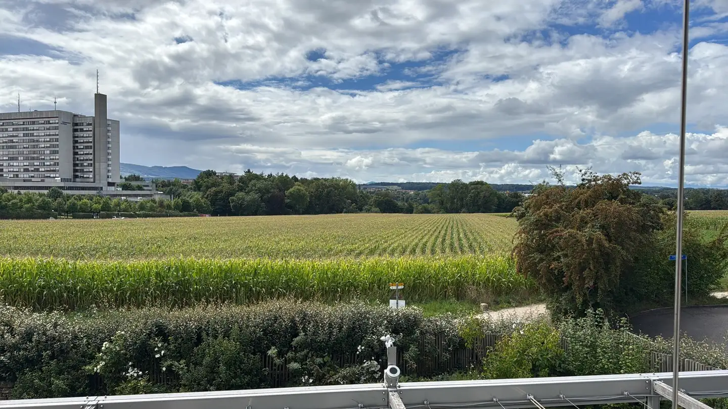 Single room for rent - 4103 Bottmingen - Photo 4