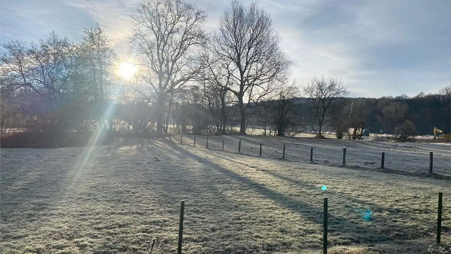 Azienda agricola in vendita - 6883 Novazzano