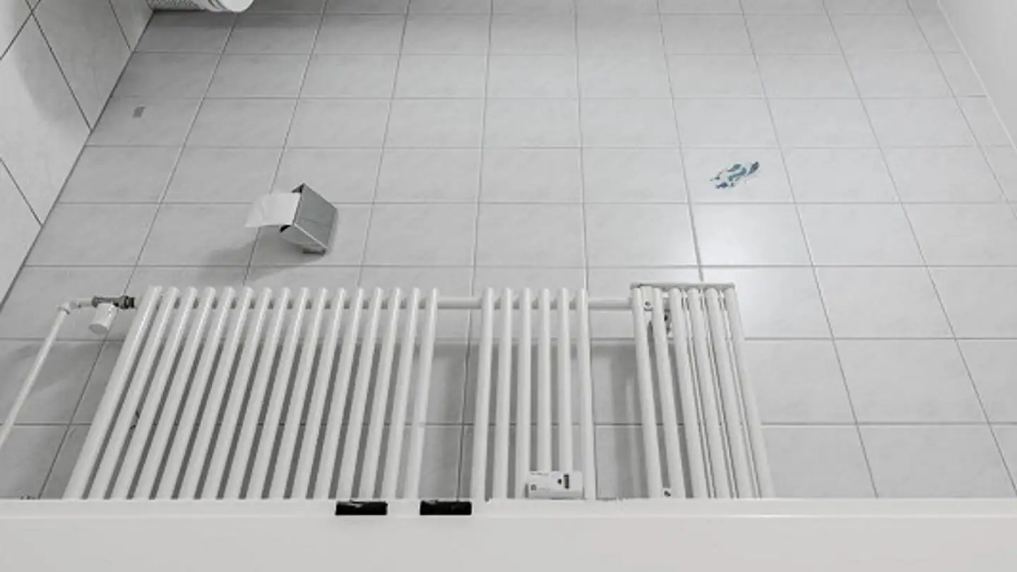 Appartamento in affitto - Rooswiesenstrasse 4, 8586 Erlen - Foto 3