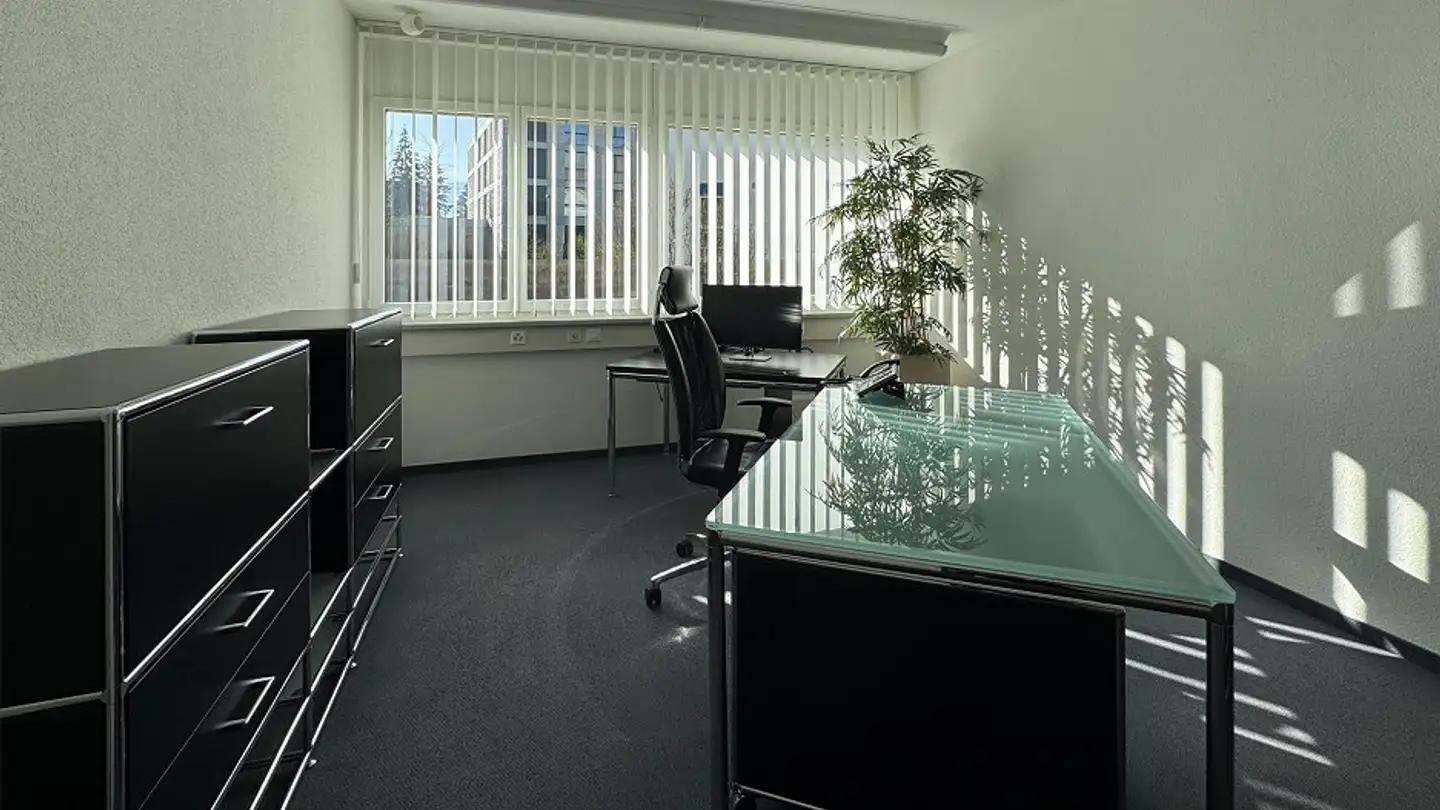 Office space for rent - Auerstrasse 6a, 9435 Heerbrugg - Photo 4