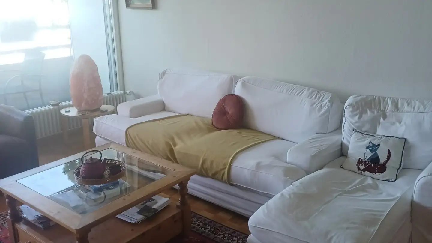 Single room for rent - Chemin Du Devin, 1012 Lausanne - Photo 4