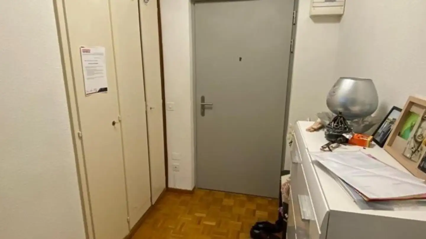 Appartamento in affitto - Chemin De-Maisonneuve 12A, 1219 Châtelaine - Foto 2