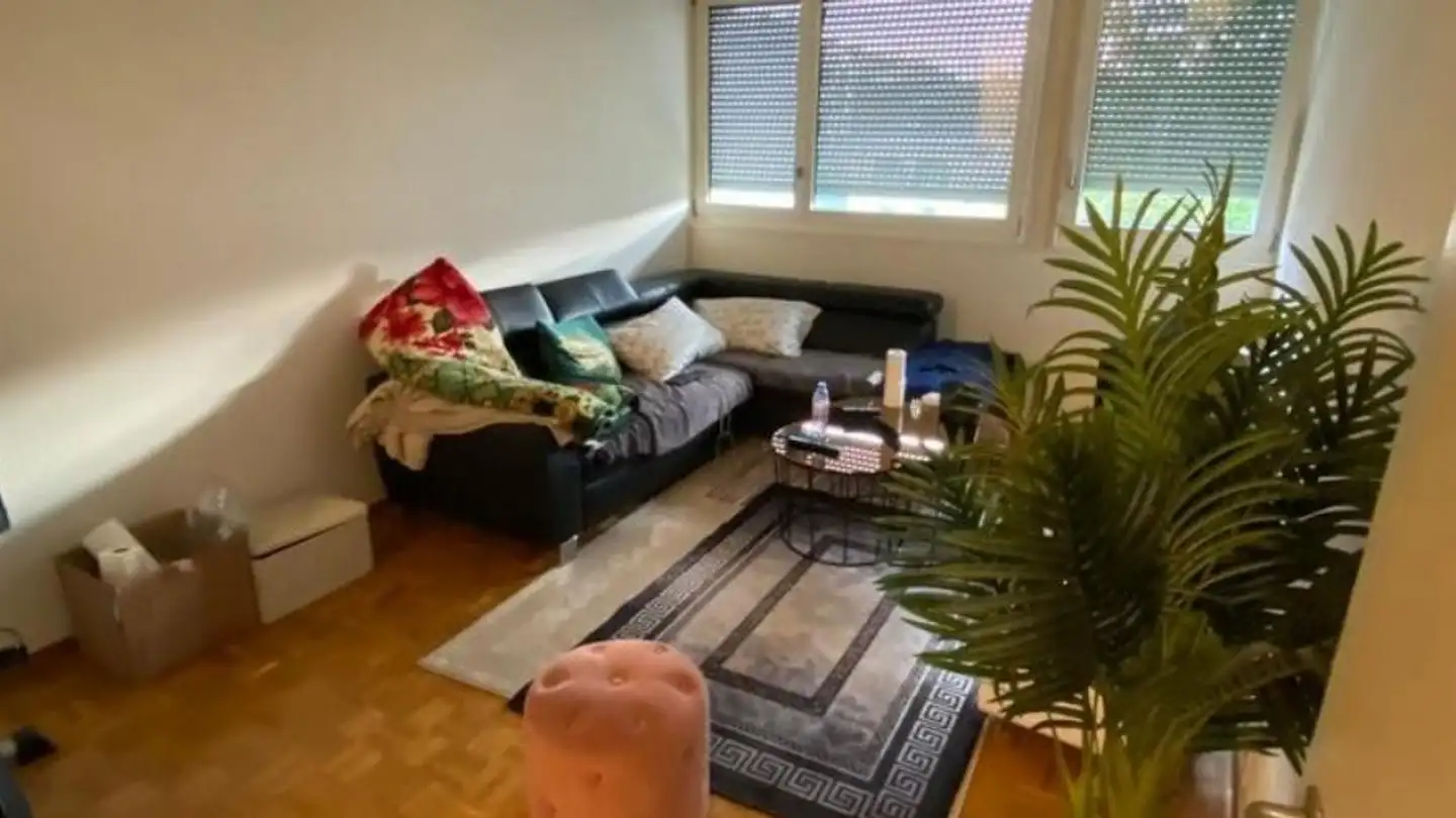 Appartamento in affitto - Chemin De-Maisonneuve 12A, 1219 Châtelaine - Foto 3