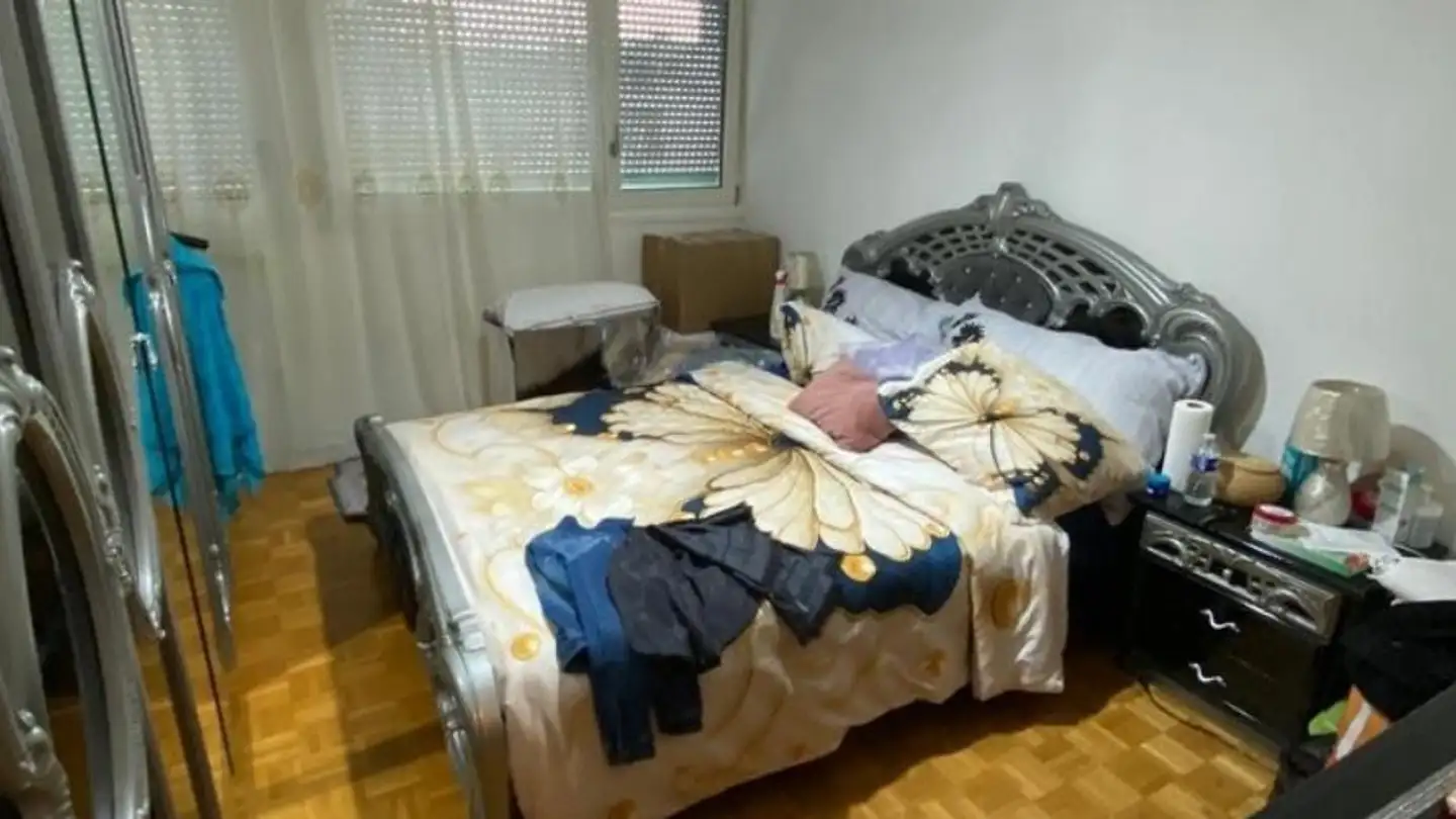 Appartamento in affitto - Chemin De-Maisonneuve 12A, 1219 Châtelaine - Foto 4
