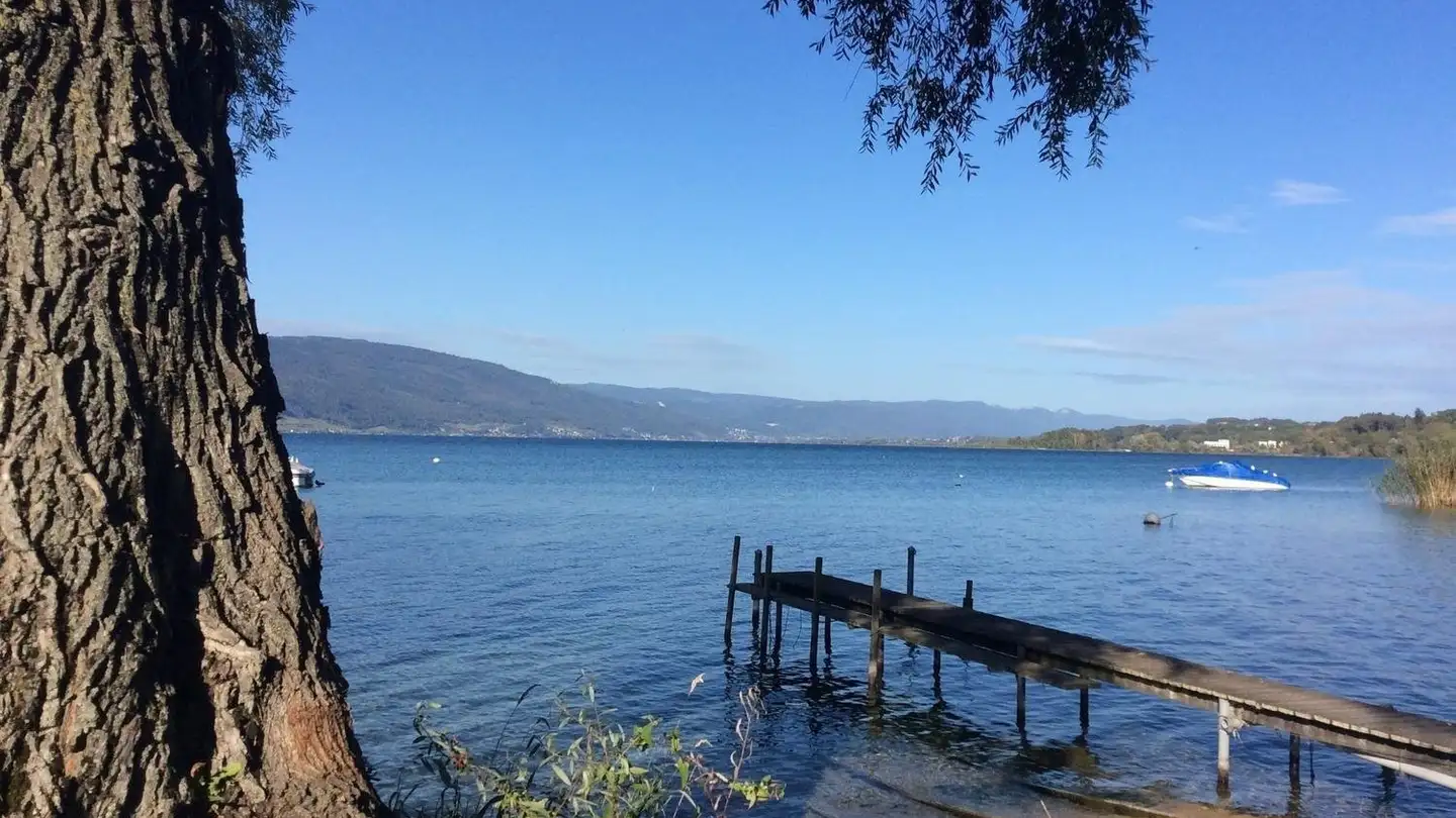 Appartement à louer - Seestrasse 27, 2576 Lüscherz - Photo 2