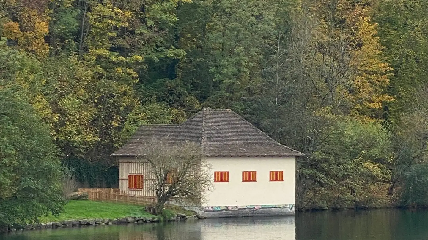 Haus mieten - 8245 Feuerthalen - Foto 3