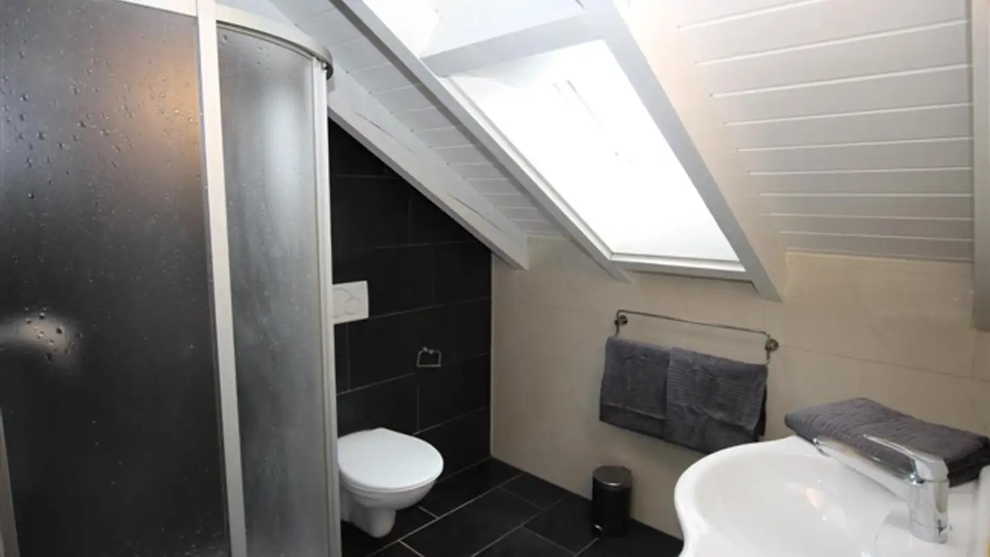 Furnished apartment for rent - Rue De Montbrillant 21, 1201 Genève - Photo 4