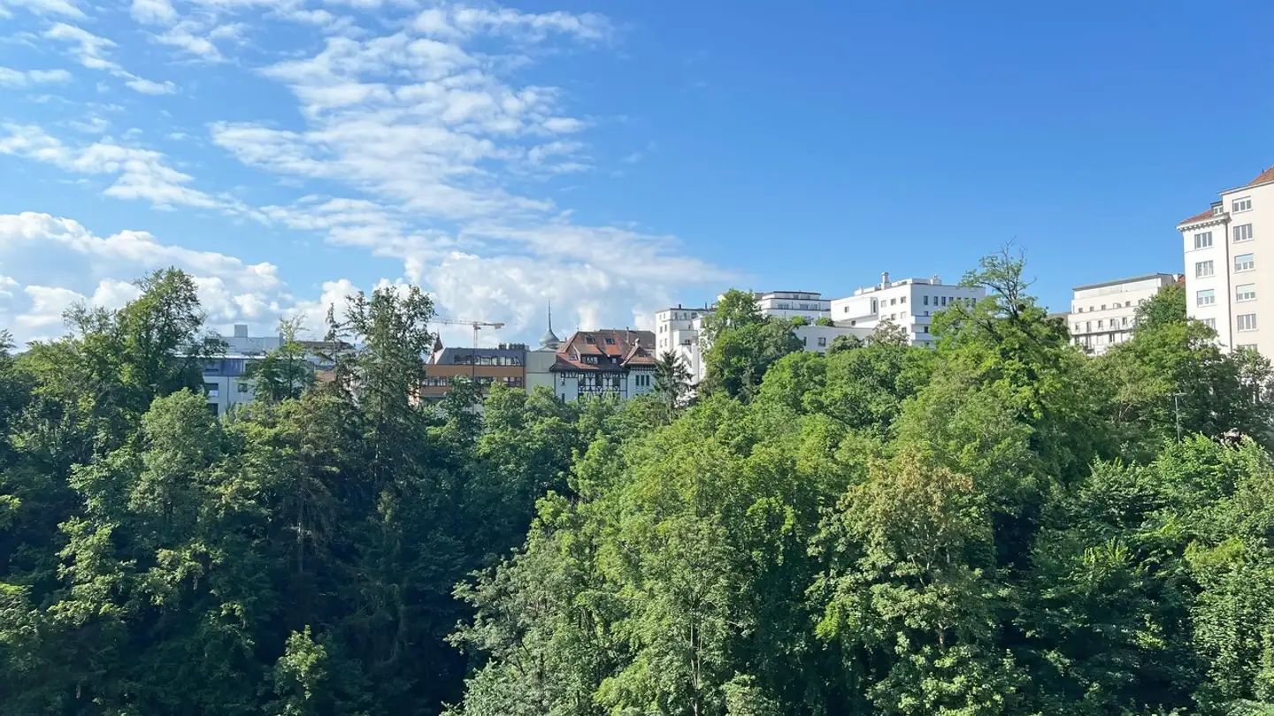 Commercial for sale - 1700 Fribourg - Photo 2