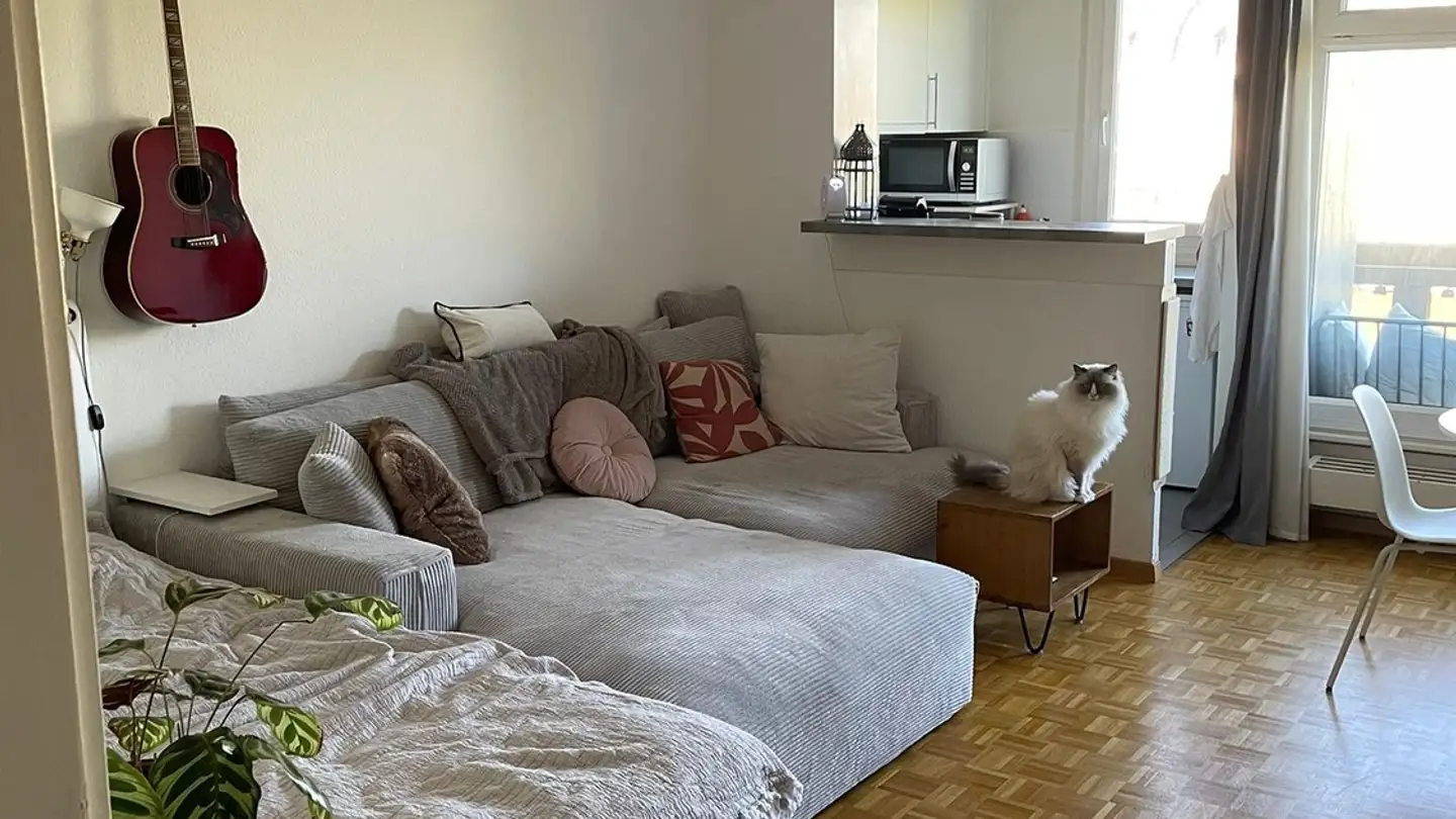 Apartment for rent - 1227 Carouge GE