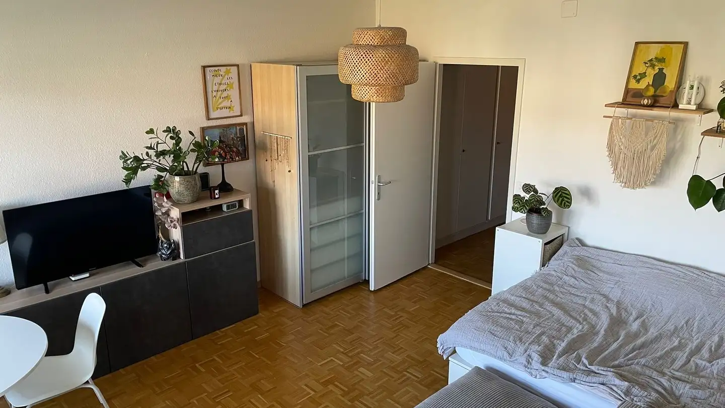 Apartment for rent - 1227 Carouge GE - Photo 3