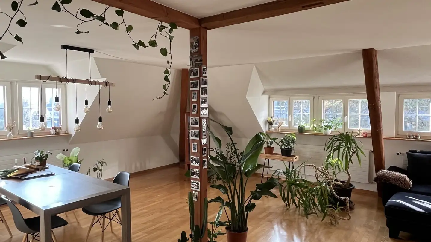 Stanza singola in affitto - Friedenstrasse 6, 8400 Winterthur - Foto 3