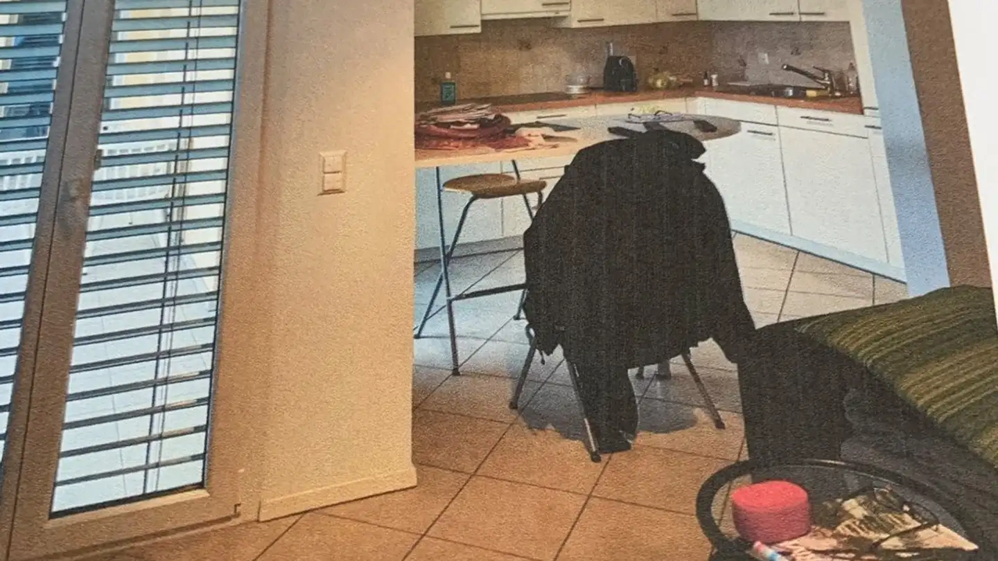 Apartment for rent - Via Luigi Lavizzari 3, 6600 Locarno - Photo 3