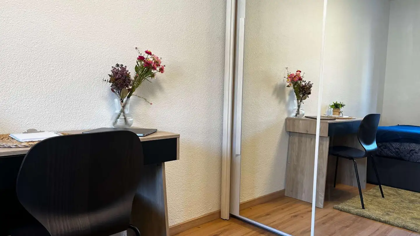 Single room for rent - Wangenstrasse 4, 8600 Dübendorf - Photo 3