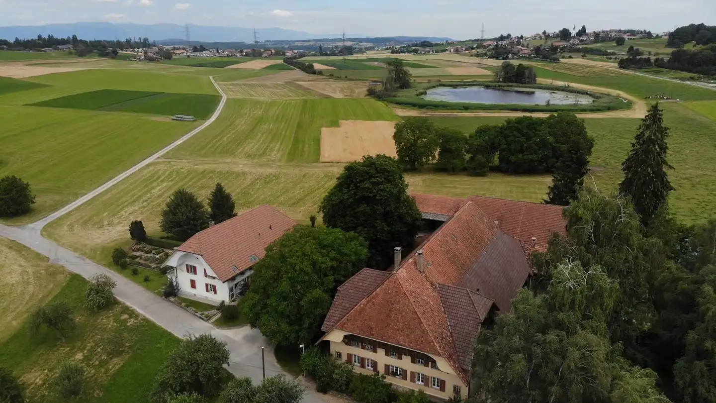 Farm for rent - Feld 2, 3268 Lobsigen