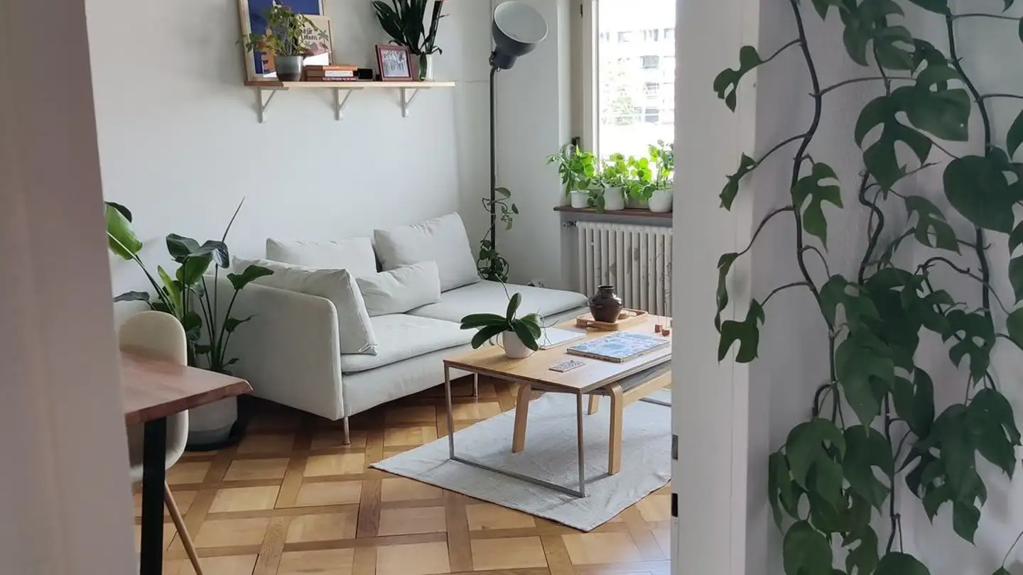 Apartment for rent - 8050 Zürich