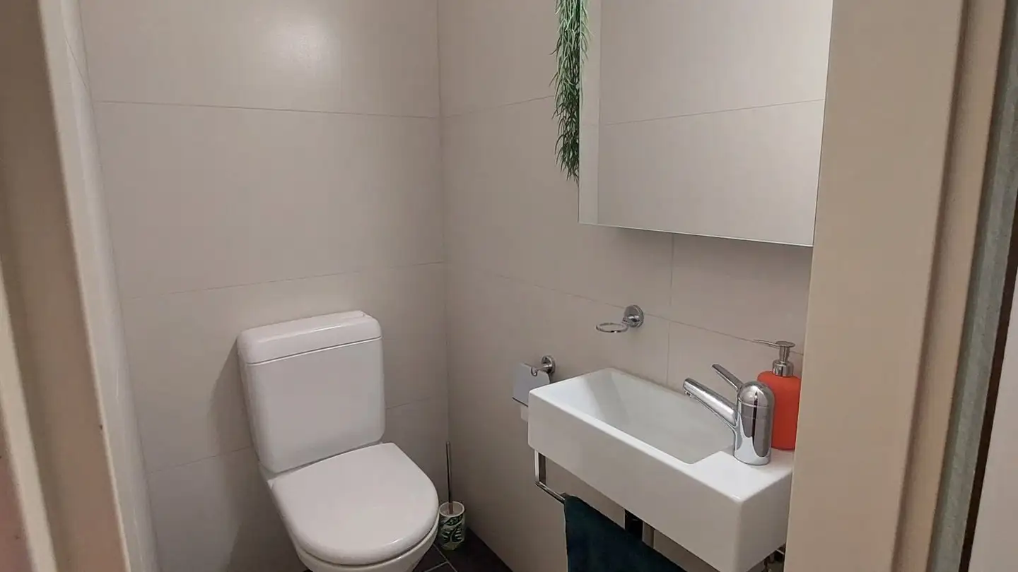 Appartement à louer - 8634 Hombrechtikon - Photo 4