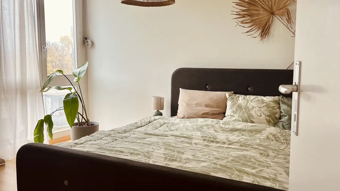 Casa singola in affitto - 3006 Bern