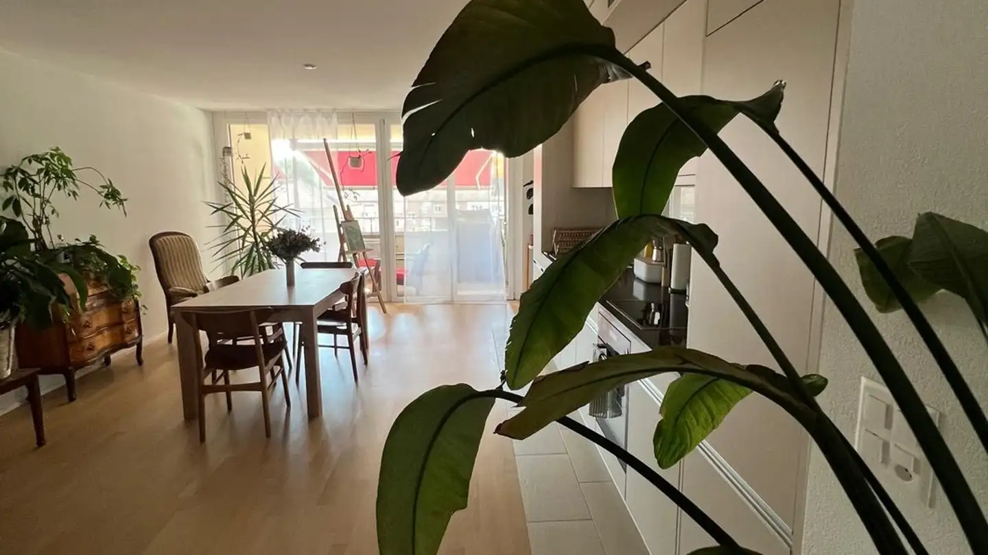 Appartement à louer - 8048 Zürich