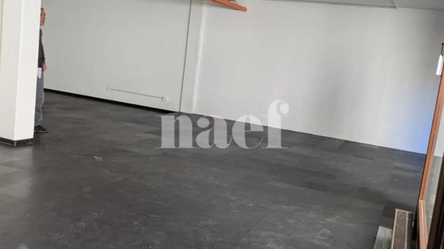 Mixed-use building for rent - Chemin Du Repos 6, 1213 Petit-Lancy