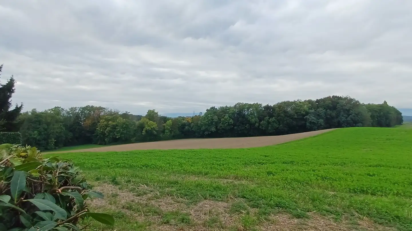 Maison individuelle à vendre - 1132 Lully VD - Photo 3