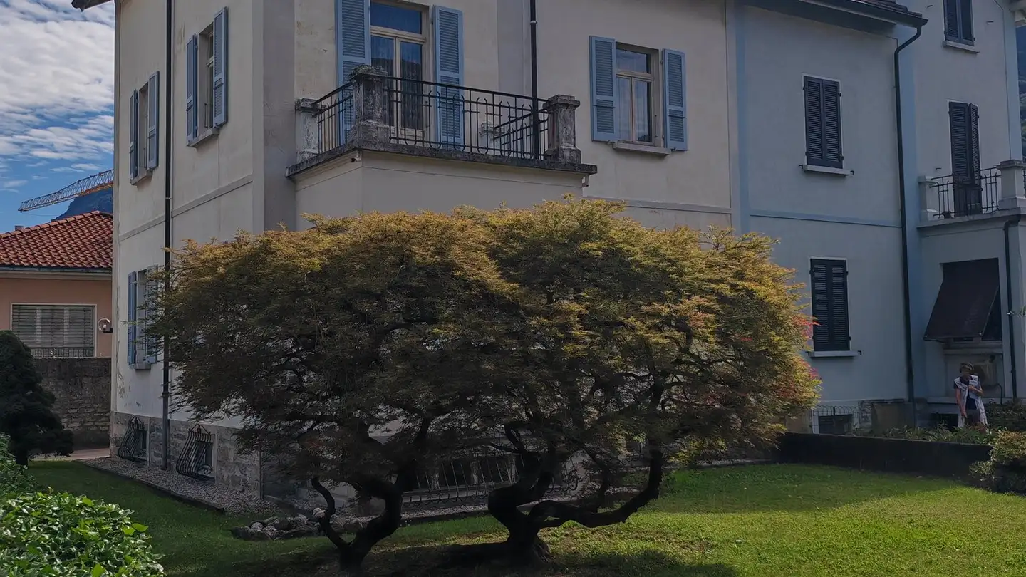 Doppelhaushälfte kaufen - Viale Giuseppe Motta, 6500 Bellinzona