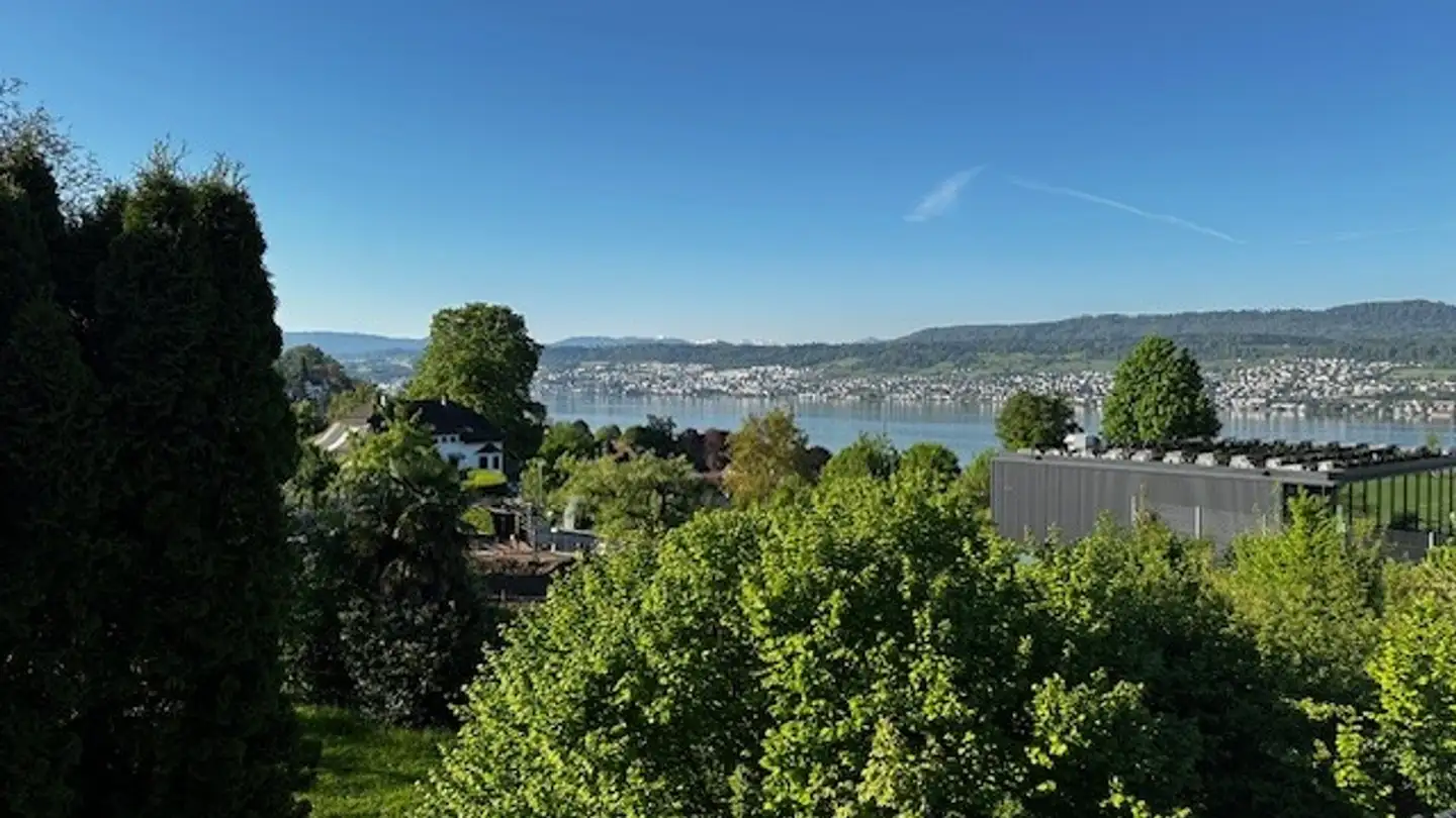 Duplex for rent - Im Allmendli 7, 8703 Erlenbach ZH