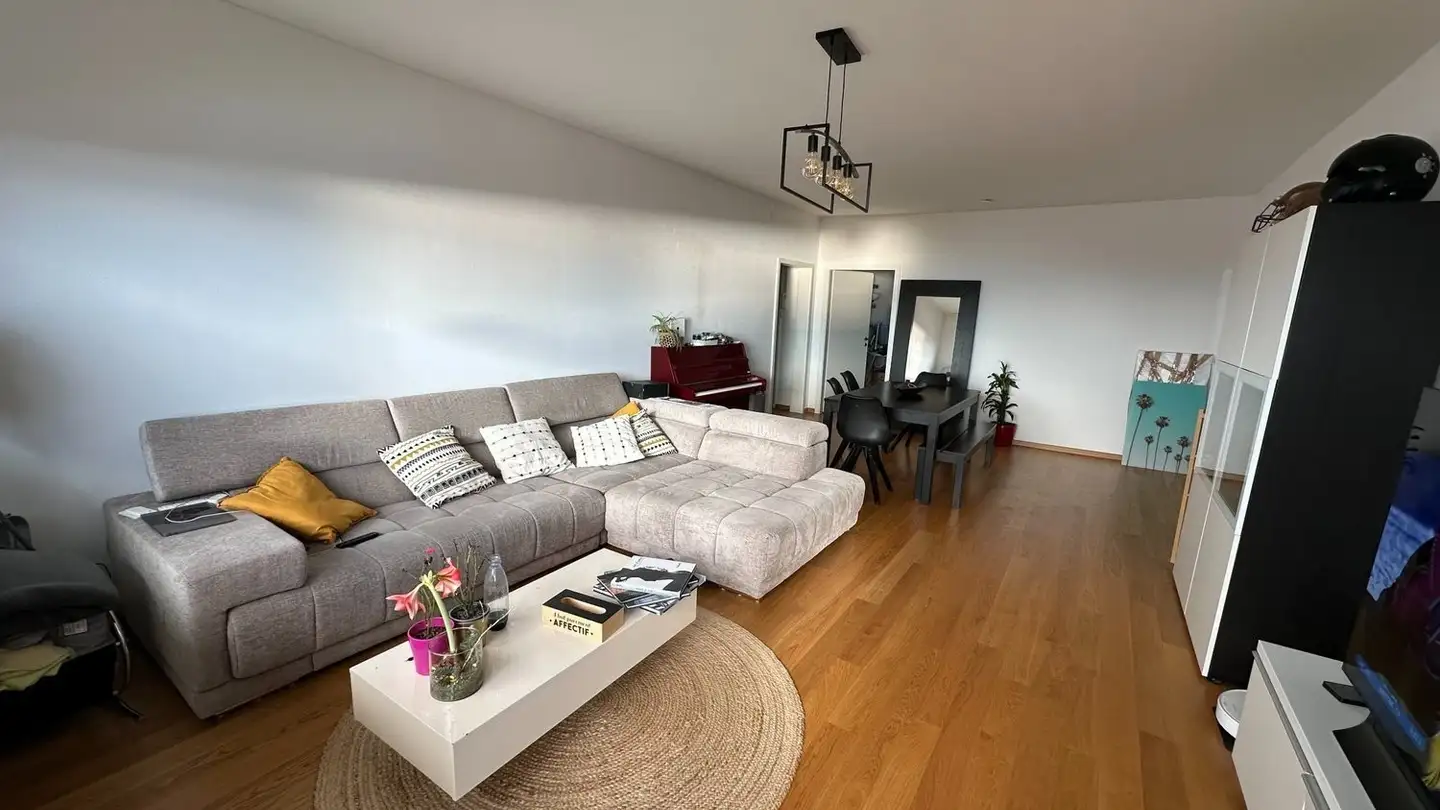 Appartamento in affitto - Chemin De Pierrefleur, 1004 Lausanne