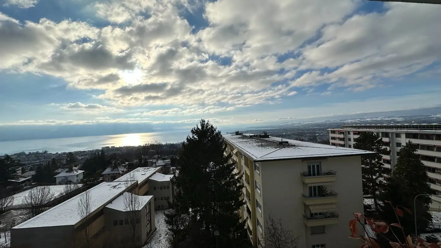 Appartamento in affitto - Chemin De Pierrefleur, 1004 Lausanne - Foto 2