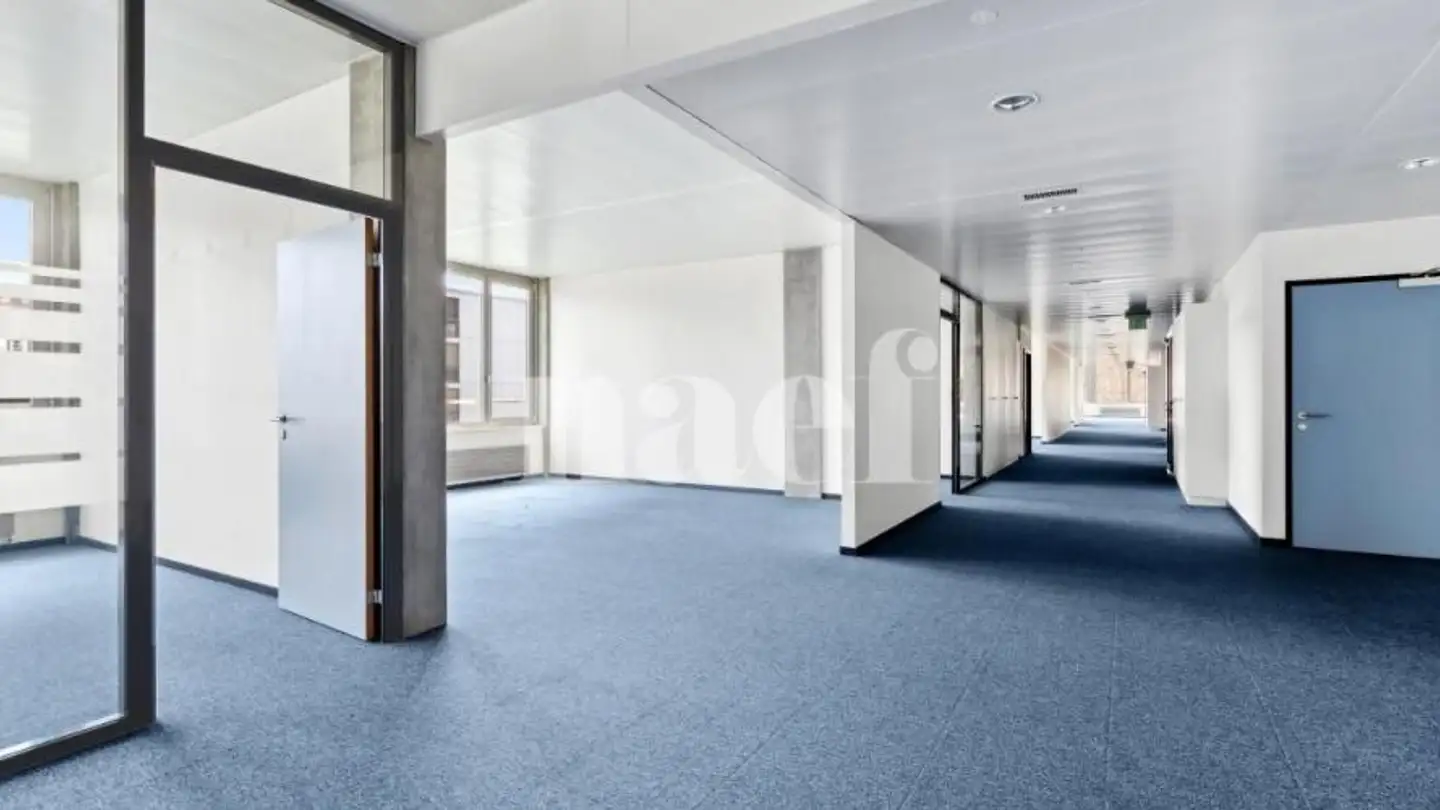 Commercial for rent - Chemin De Précossy 27, 1260 Nyon