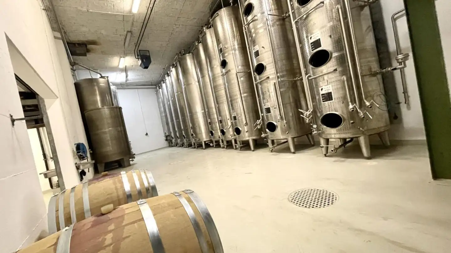 Cantina divisa in vendita - 3970 Salgesch