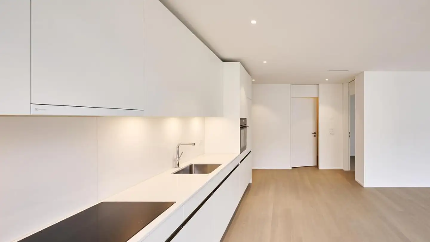 Appartamento in affitto - Katzenbachstrasse 239, 8052 Zürich - Foto 3