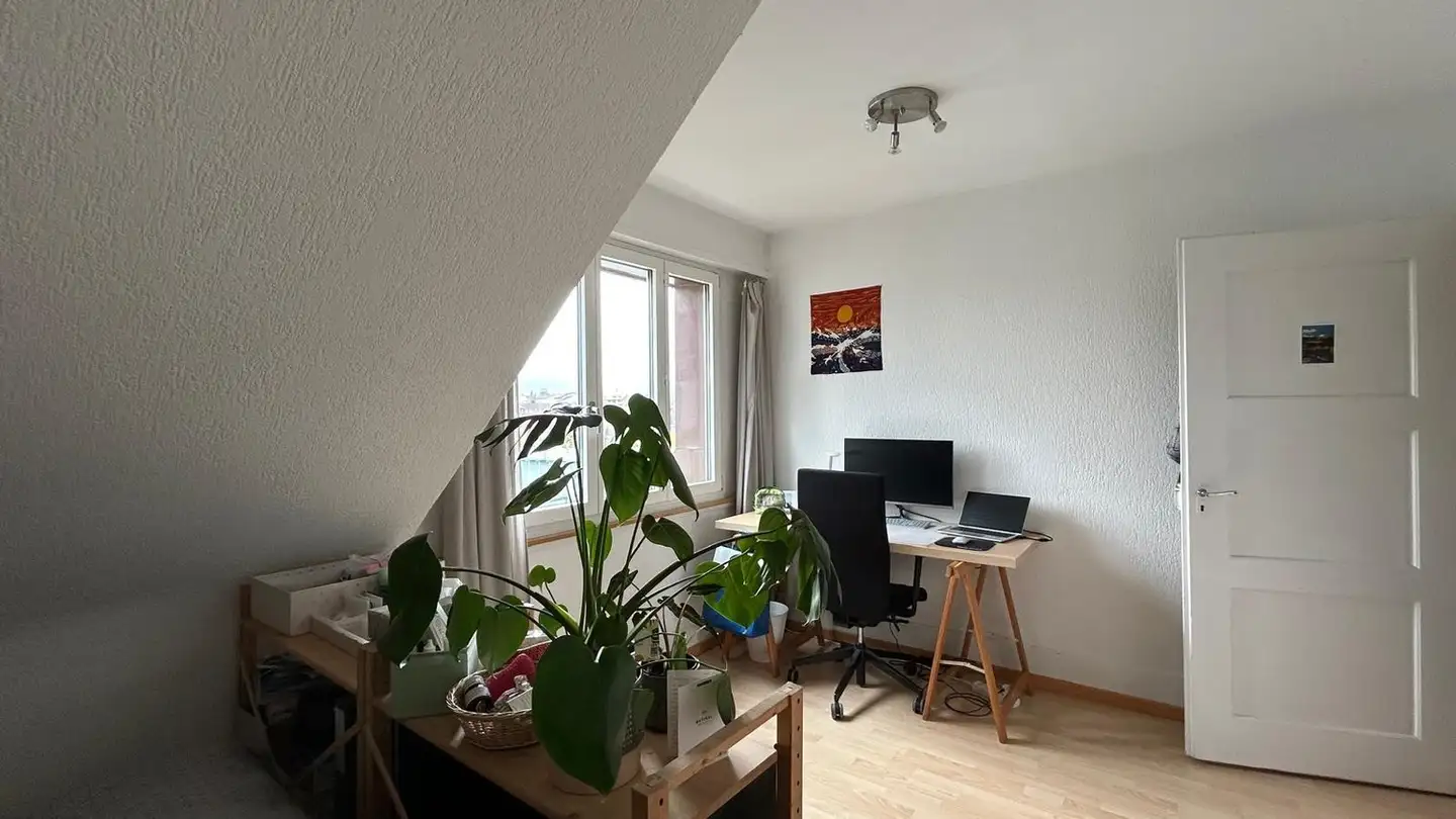 Stanza singola in affitto - 3007 Bern