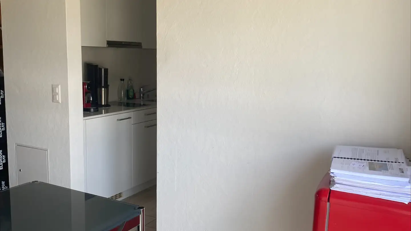 Appartamento in affitto - Am Schützenweiher 4c, 8400 Winterthur - Foto 4