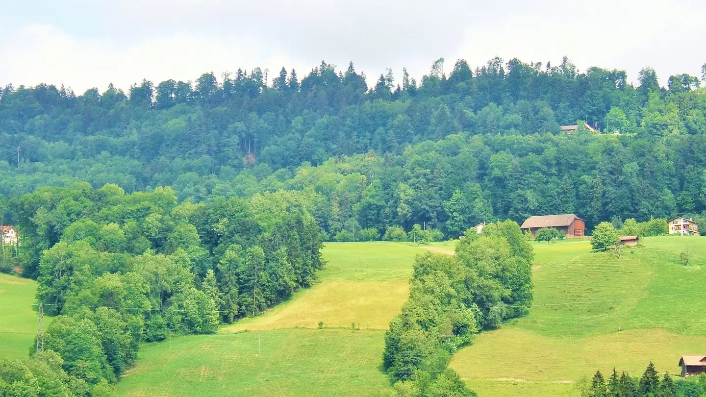 Wohnung mieten - Oberfeld 12, 6102 Malters - Foto 3