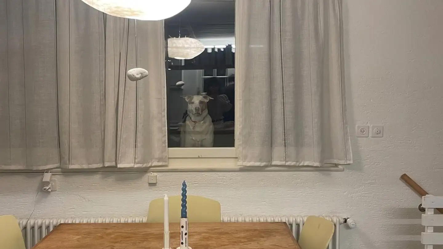 Maison individuelle à louer - 1025 St-Sulpice VD - Photo 3