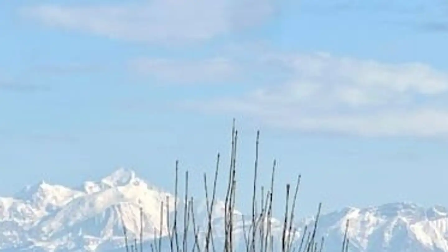 Casa singola in affitto - Route de Valavran, 1294 Genthod