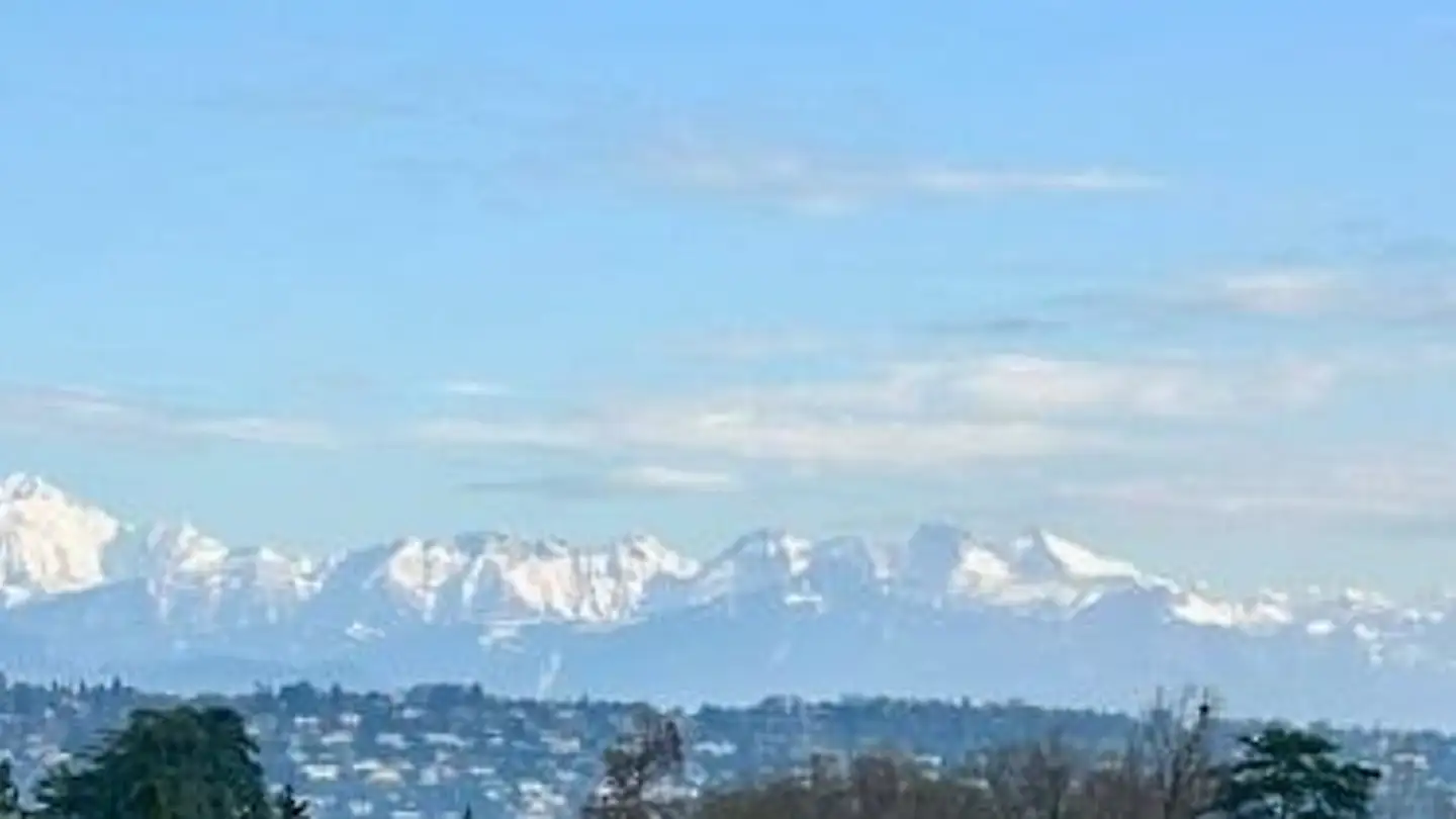 Casa singola in affitto - Route de Valavran, 1294 Genthod - Foto 3