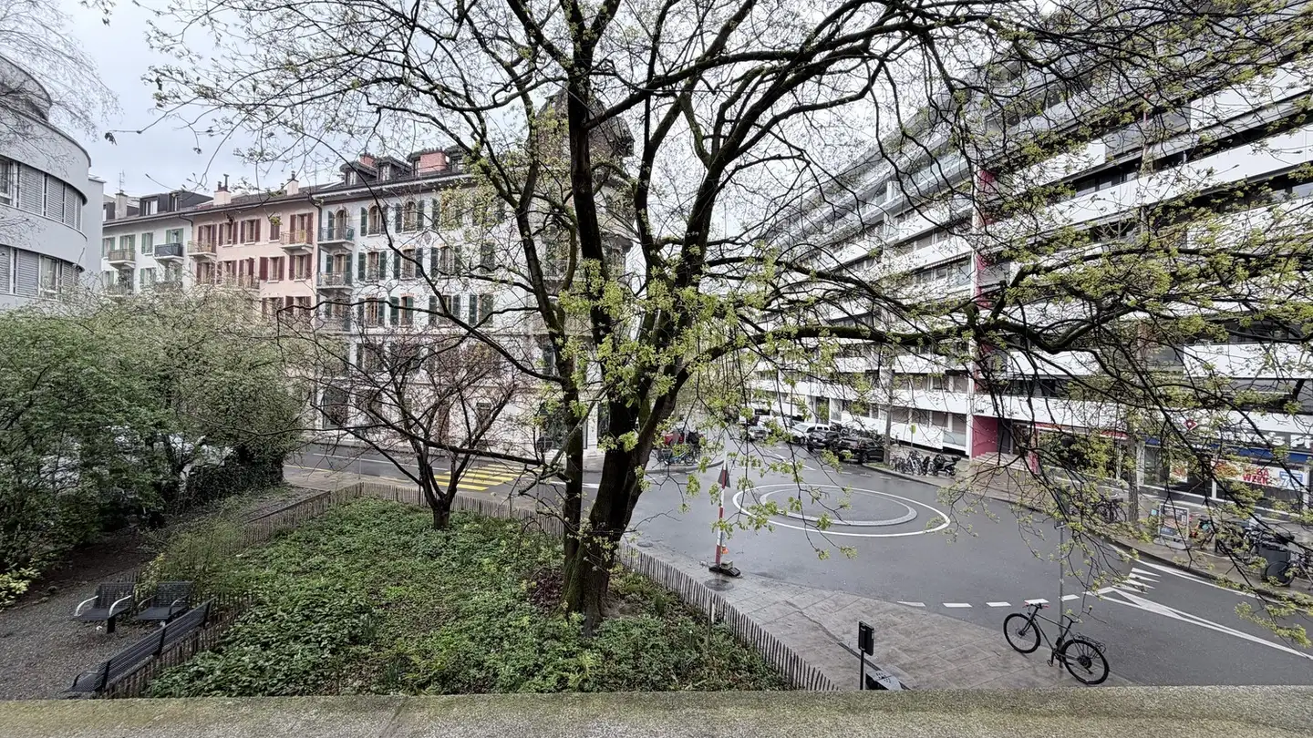 Single room for rent - 1227 Carouge GE - Photo 2