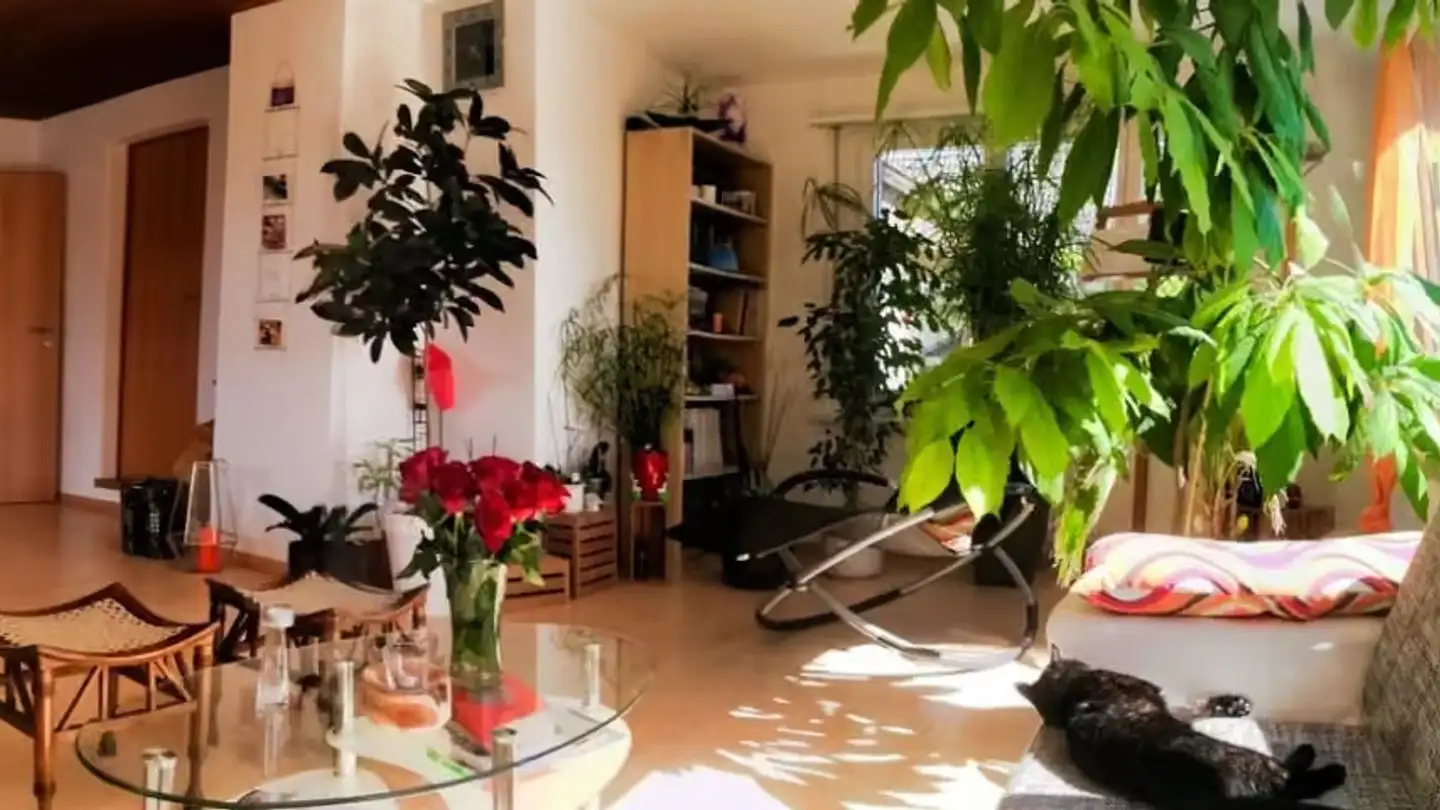 Appartamento in affitto - Mittelholzstrasse 43, 3360 Herzogenbuchsee