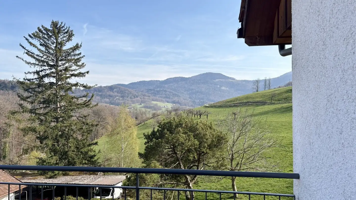 Wohnung mieten - Eichenhof 224, 4418 Reigoldswil - Foto 3