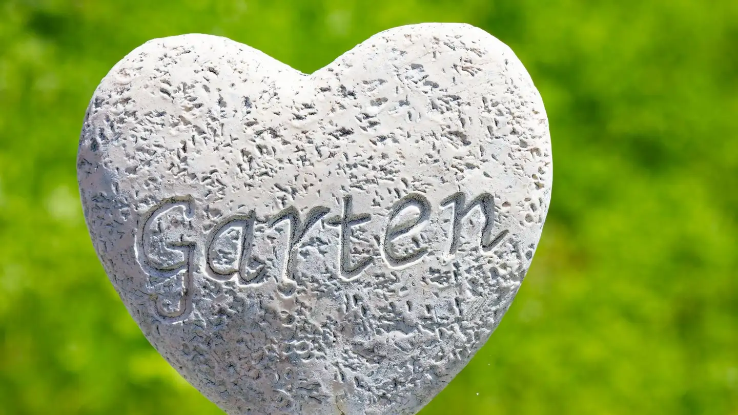 Single house for sale - 3860 Meiringen - Photo 4