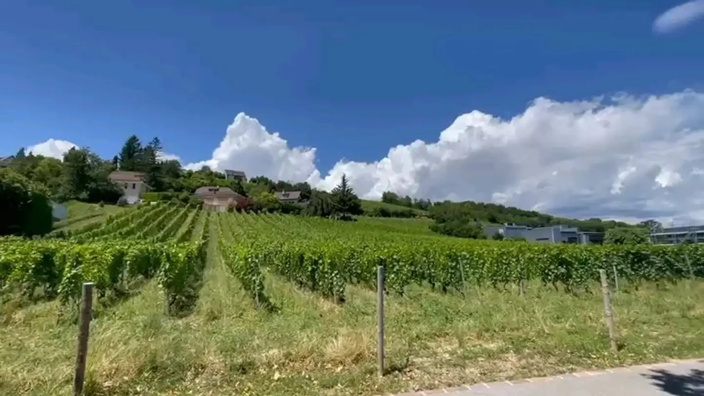 Atelier à vendre - 1026 Denges - Photo 3