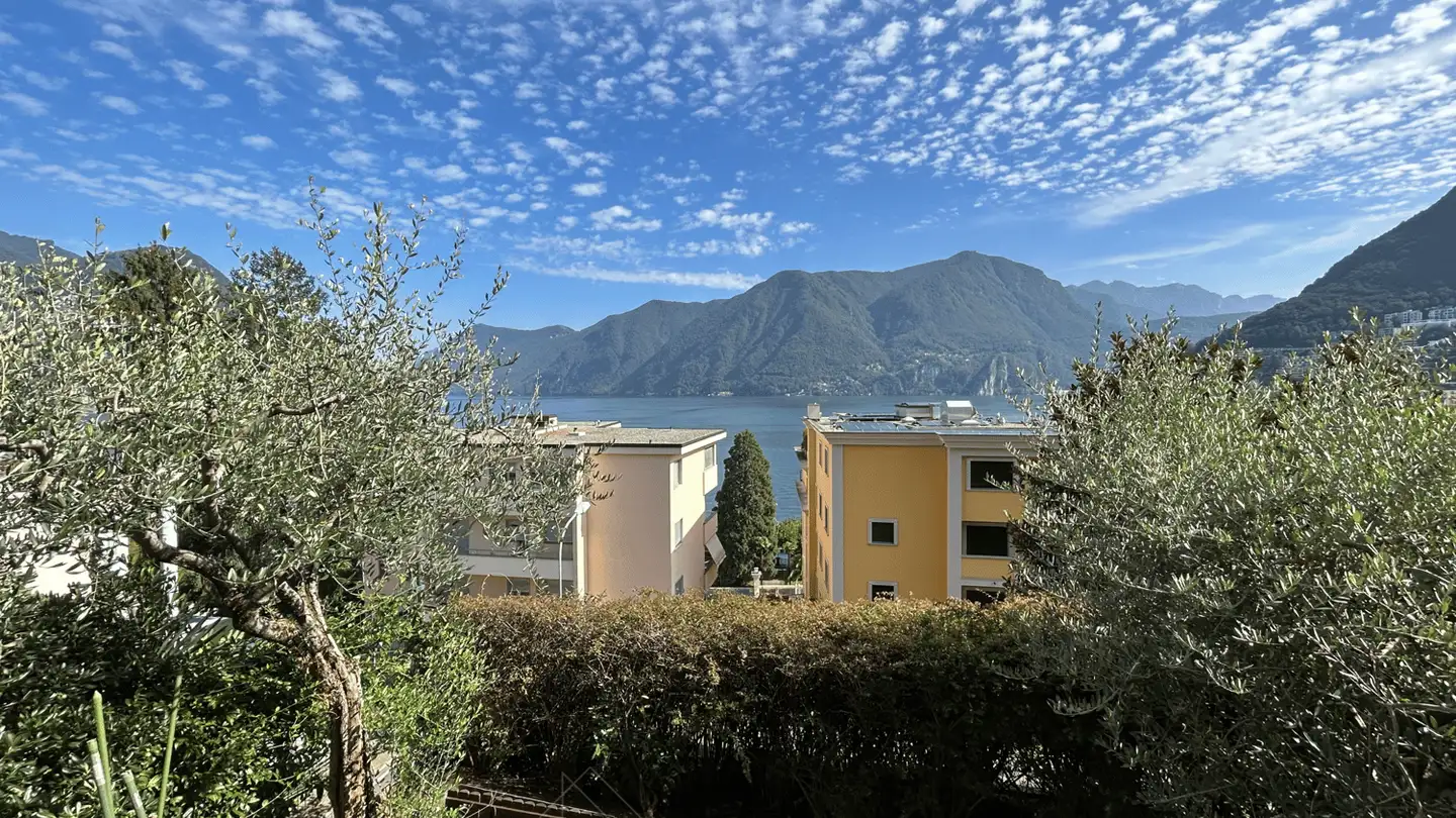 Appartamento in affitto - Via Gaggini Da Bissone, 6900 Lugano